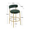 COOLMORE Bar Stools Industrial Pub Barstools with Back and Footrest, Modern Armless Bar Height Stool Chairs Set of 2