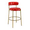 COOLMORE Bar Stools Industrial Pub Barstools with Back and Footrest, Modern Armless Bar Height Stool Chairs Set of 2