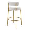 COOLMORE Bar Stools Industrial Pub Barstools with Back and Footrest, Modern Armless Bar Height Stool Chairs Set of 2